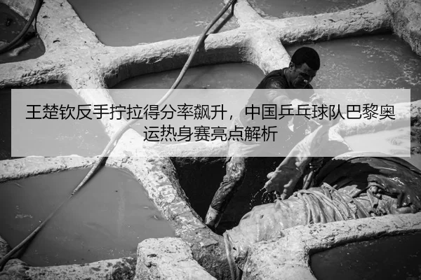 王楚钦反手拧拉得分率飙升，中国乒乓球队巴黎奥运热身赛亮点解析
