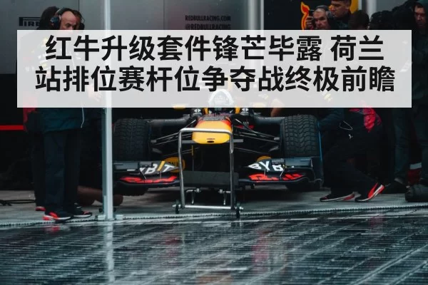 Red Bull racing team